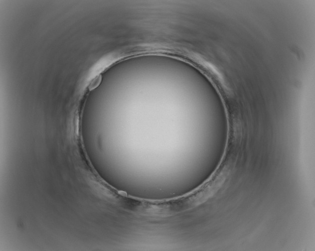 X0000115721365200911121442
