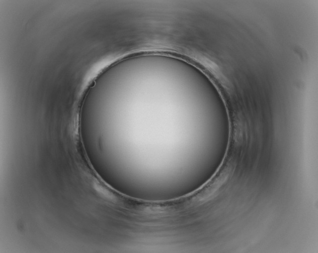 X0000115721366200911121442