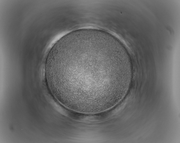 X0000115721367200911121442
