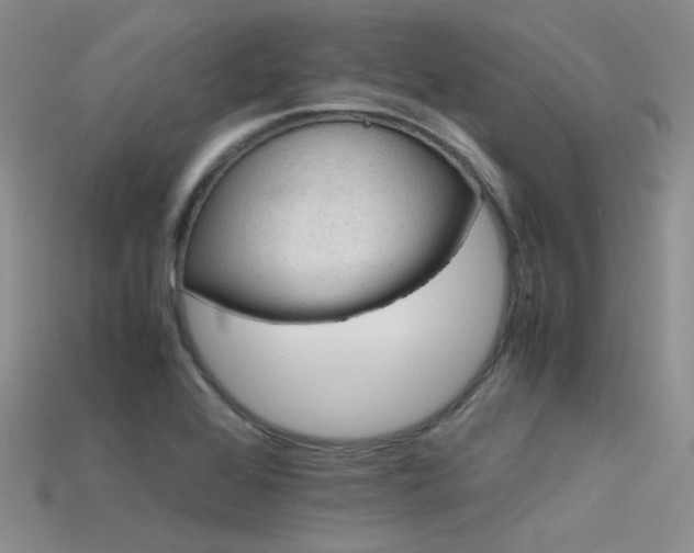 X0000115721368200911121442