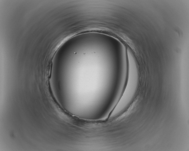 X0000115721369200911121442