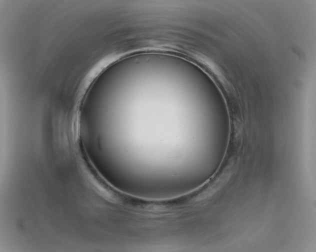 X0000115721371200911121442