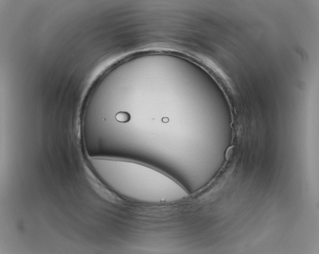 X0000115721372200911121442