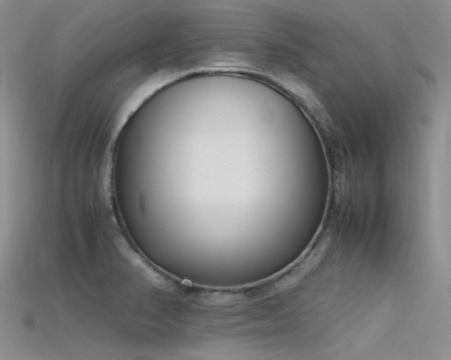X0000115721374200911121442
