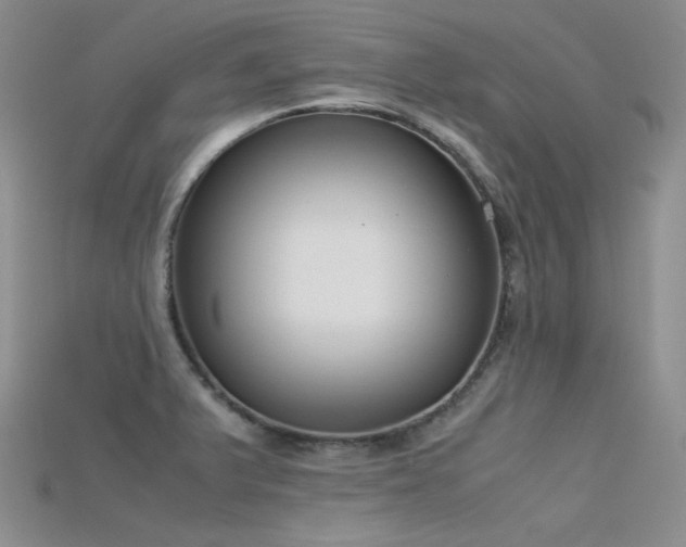 X0000115721375200911121442