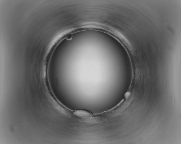 X0000115721376200911121442