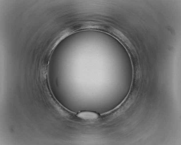 X0000115721377200911121442