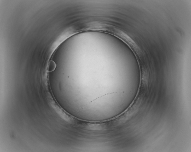 X0000115721378200911121442