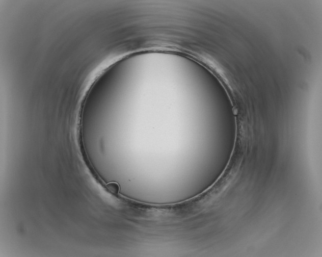 X0000115721379200911121442