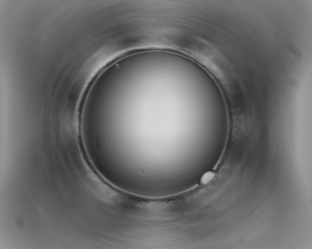 X0000115721380200911121442