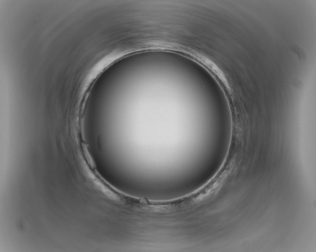 X0000115721381200911121442