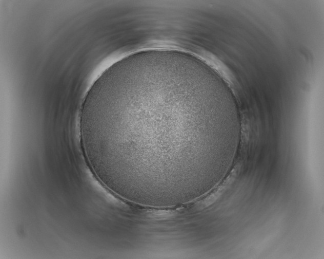 X0000115721382200911121442