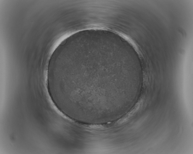 X0000115721383200911121442