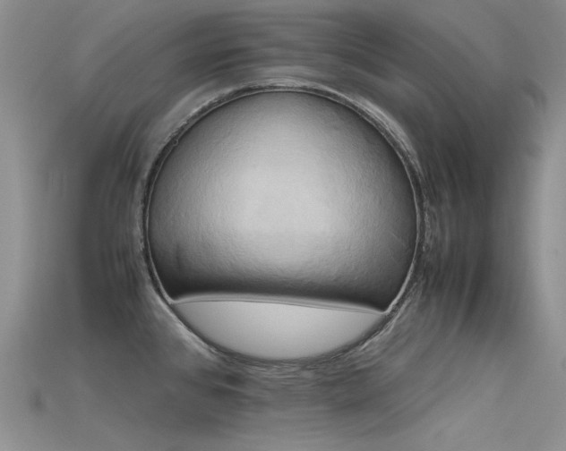 X0000115721384200911121442