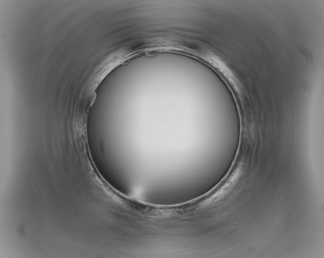 X0000115721385200911121442