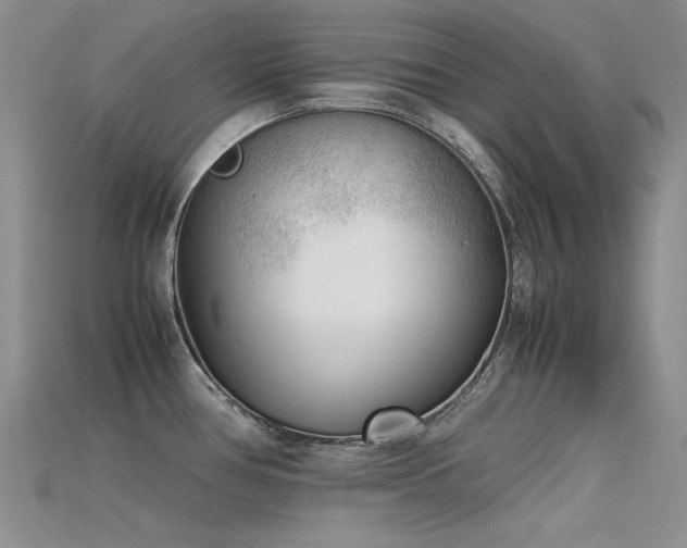 X0000115721386200911121442
