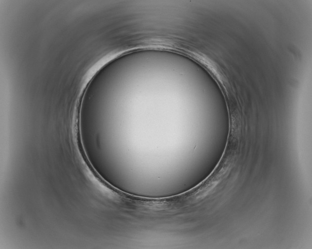 X0000115721387200911121442