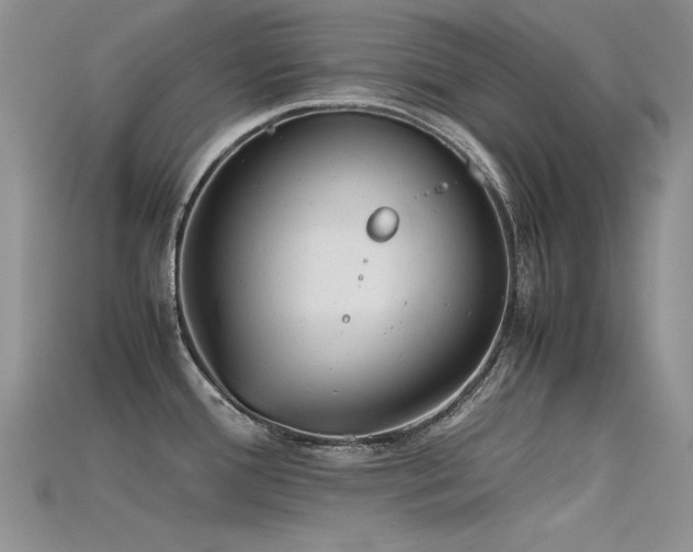 X0000115721388200911121442