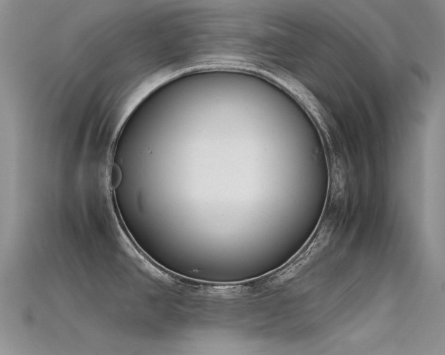 X0000115721390200911121442