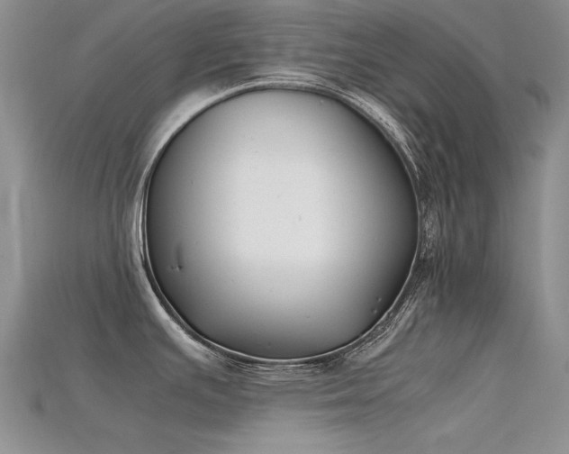 X0000115721391200911121442