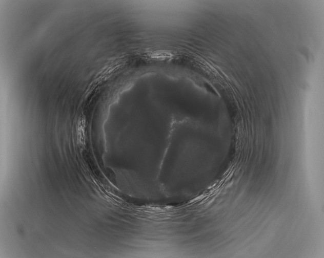 X0000115721394200911121441