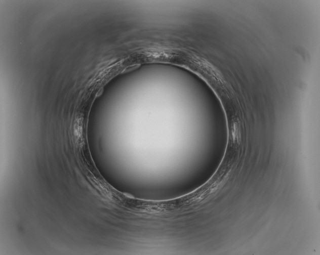 X0000115721396200911121441