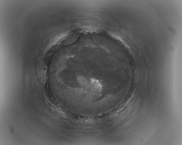 X0000115721399200911121441