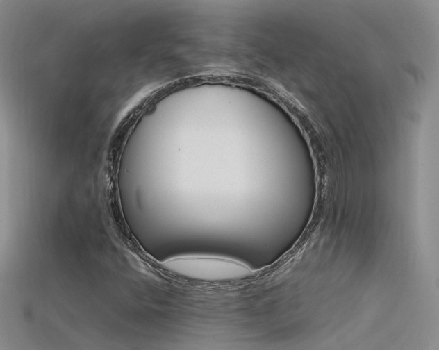 X0000115721400200911121441