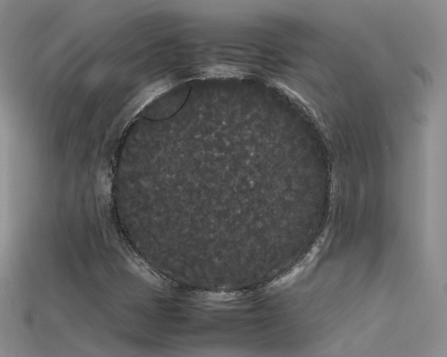 X0000115721401200911121441