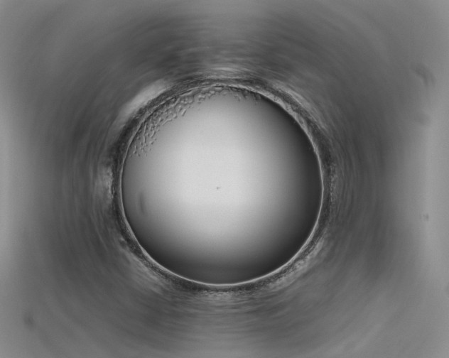 X0000115721402200911121441