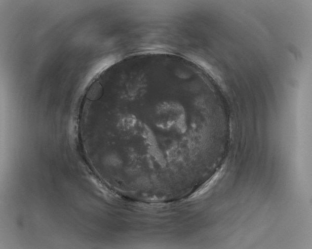 X0000115721405200911121441