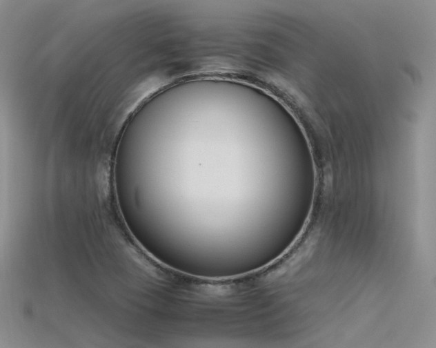 X0000115721409200911121441