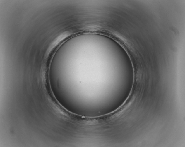 X0000115721410200911121441