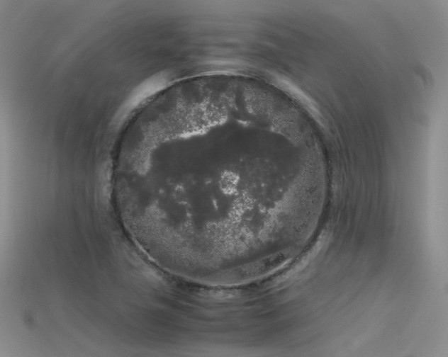X0000115721411200911121441