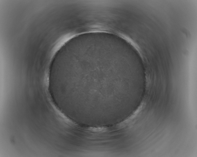 X0000115721415200911121441