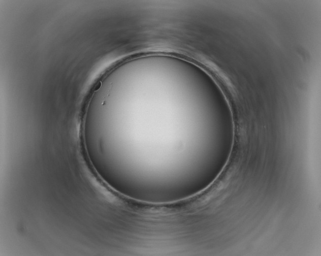 X0000115721416200911121441