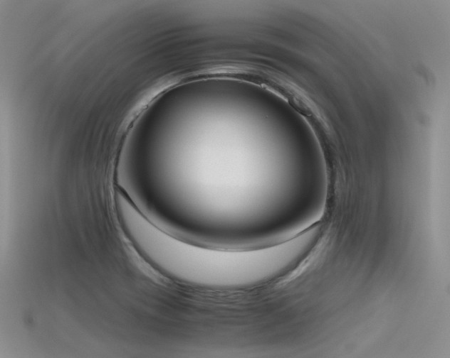X0000115721417200911121441