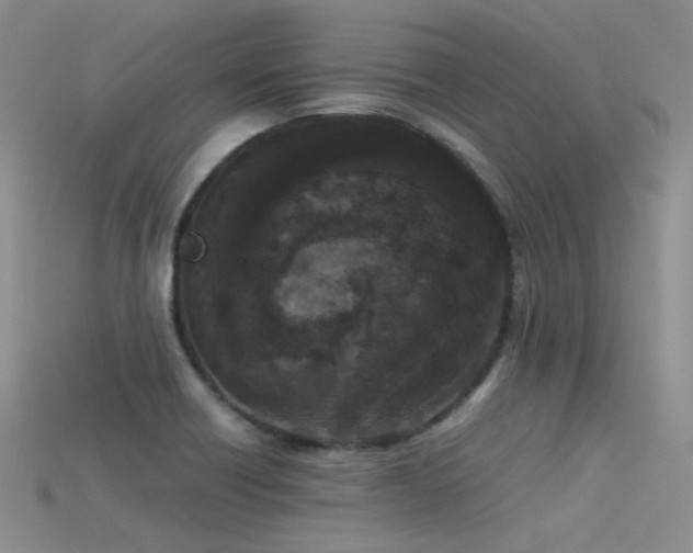 X0000115721418200911121441