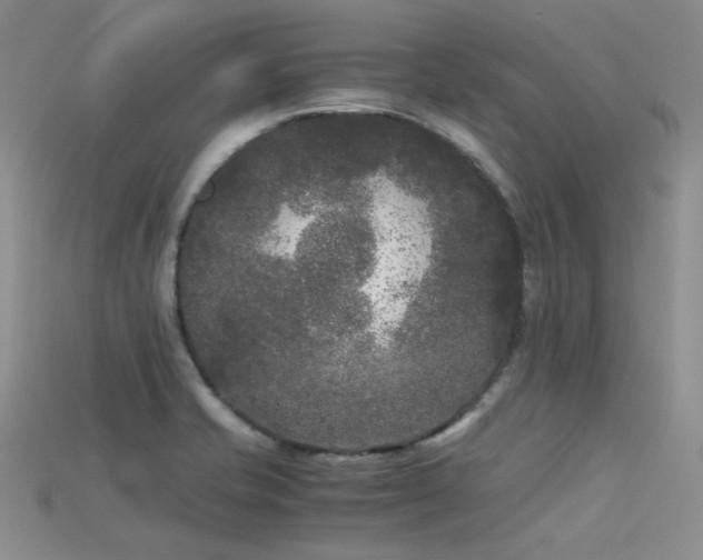 X0000115721421200911121441