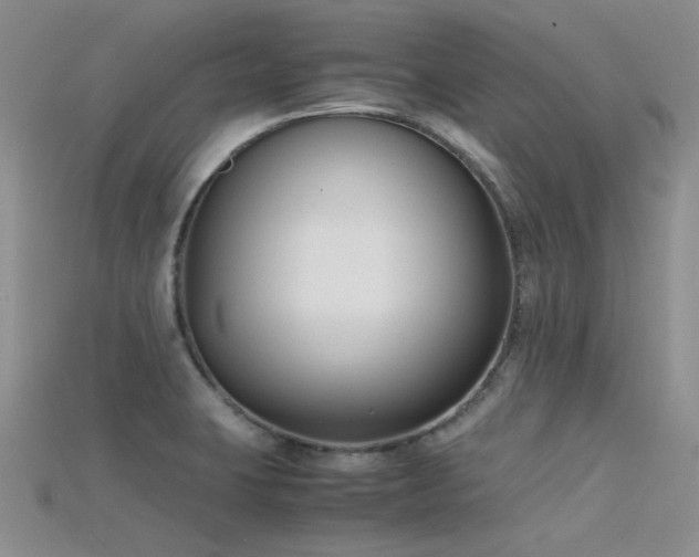 X0000115721423200911121441