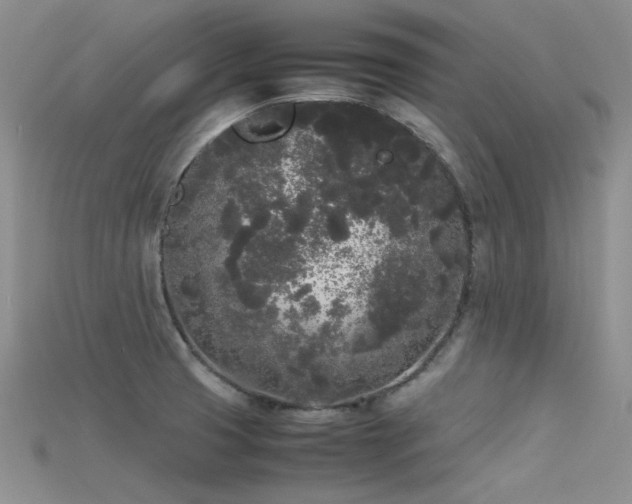 X0000115721425200911121441