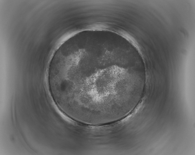 X0000115721429200911121441