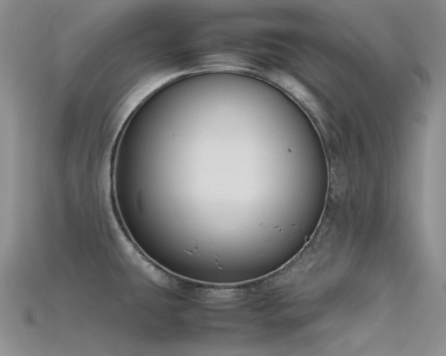X0000115721431200911121441