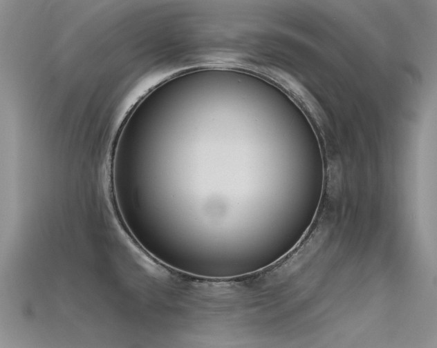 X0000115721432200911121441