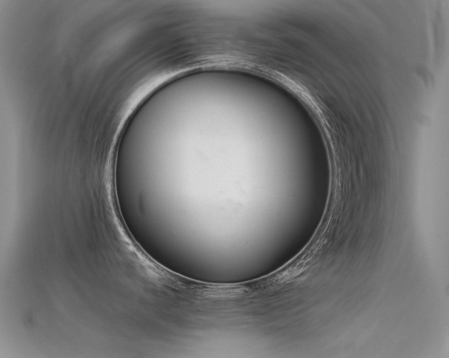 X0000115721440200911121441