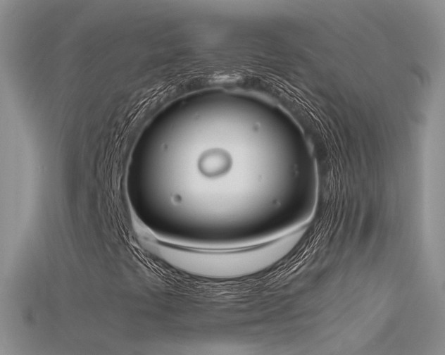 X0000115721441200911121441