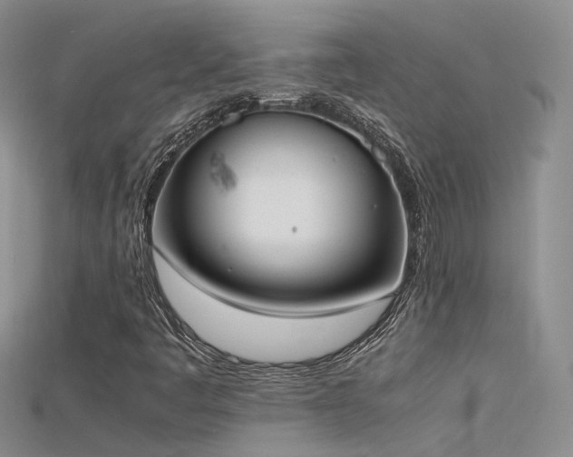 X0000115721445200911121441