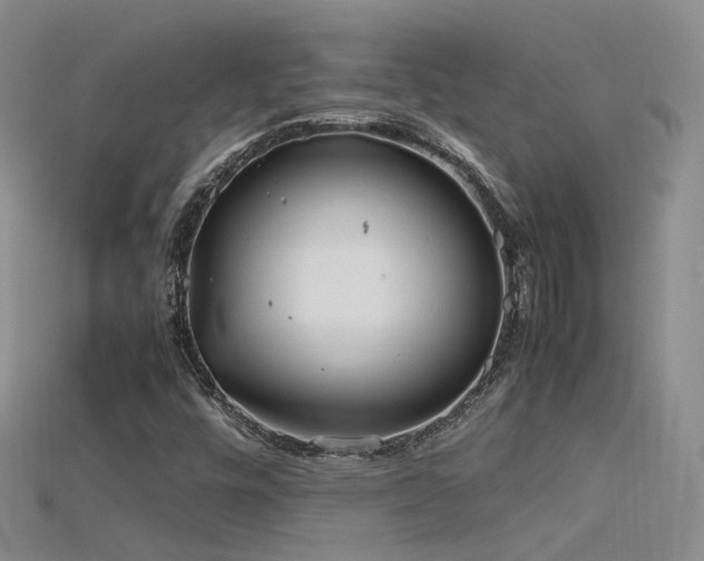 X0000115721448200911121441