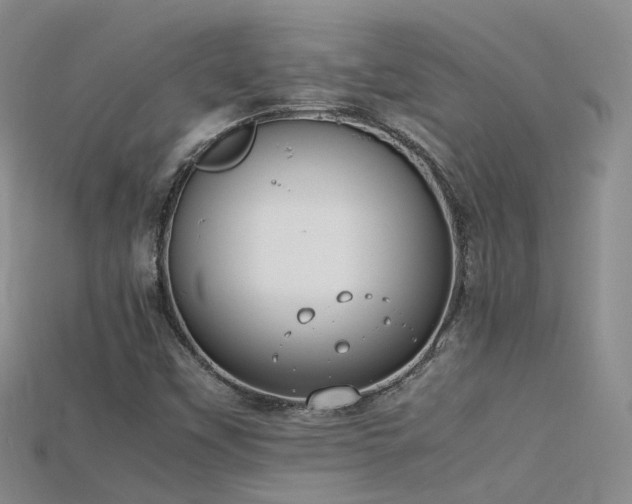 X0000115721451200911121441
