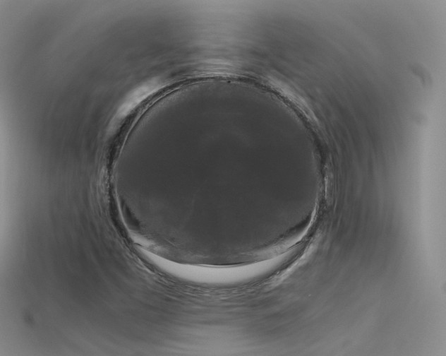 X0000115721453200911121441